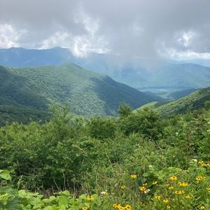 Meet your Posher, Leona